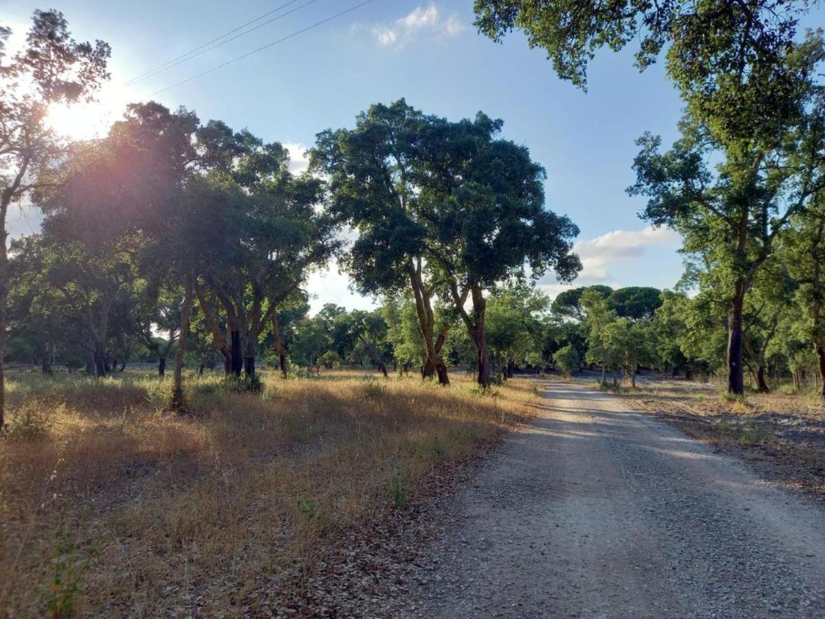 Alto Villa Alcacer do Sal Bagian luar foto